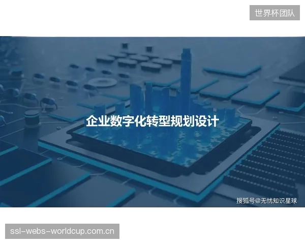 供应链数字化转型的高昂投入,中小体育用品企业应如何应对投资回报率难题? 供应链数字化转型的高昂投入,中小体育用品企业应如何应对投资回报率难题?